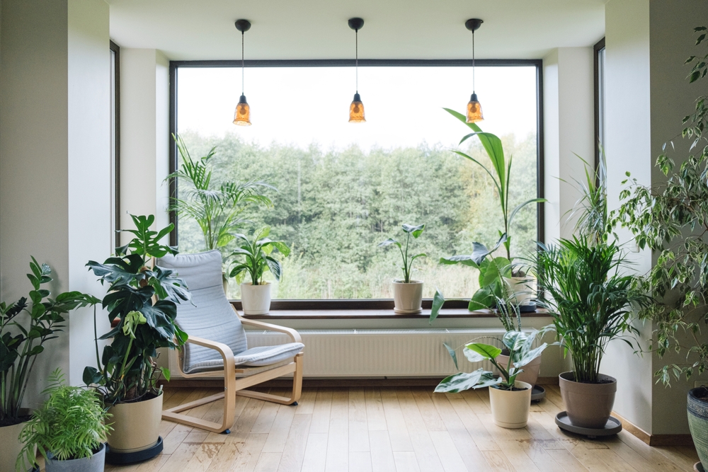 Biophilic living space with indoor plants and large windows overlooking greenery.